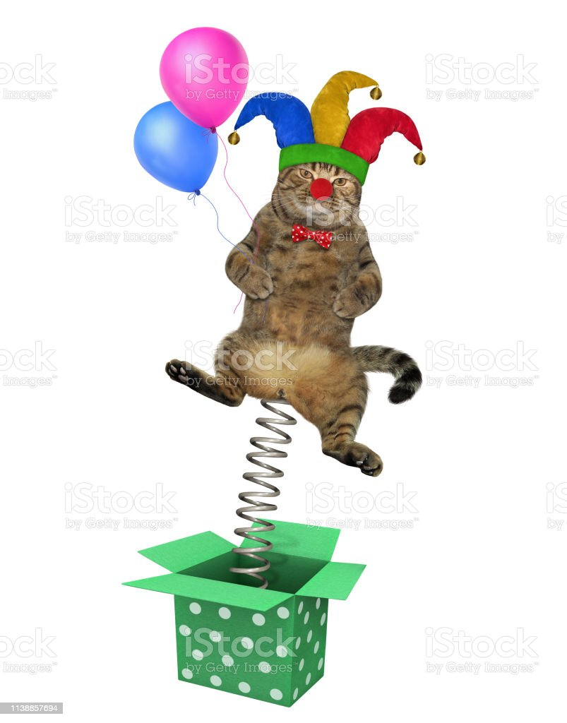 a cat with a jester hat, a red bow tie, and a red nose springing out of a box