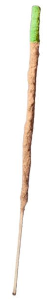 romero