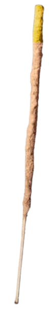 vainilla