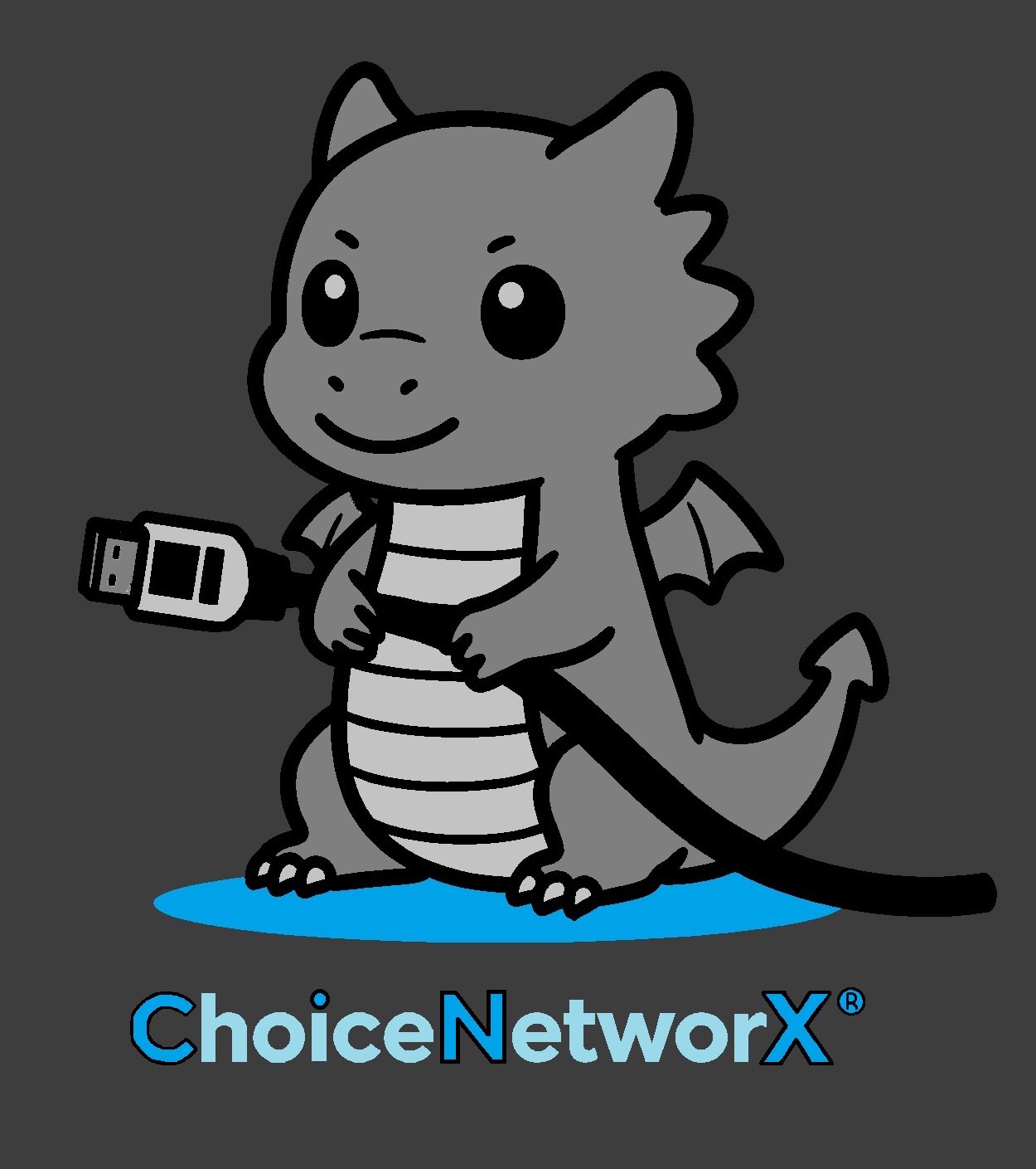 ChoiceNetworX Logo