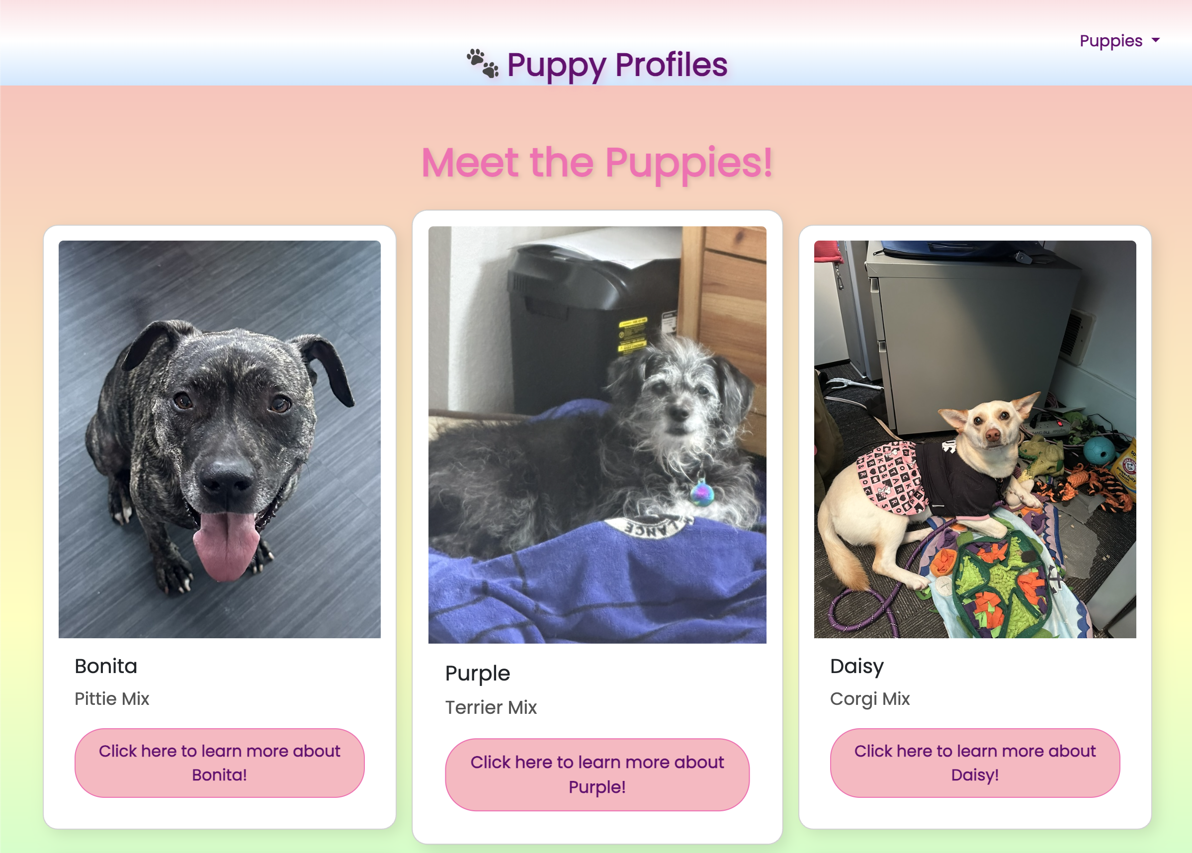 Final Web App Image