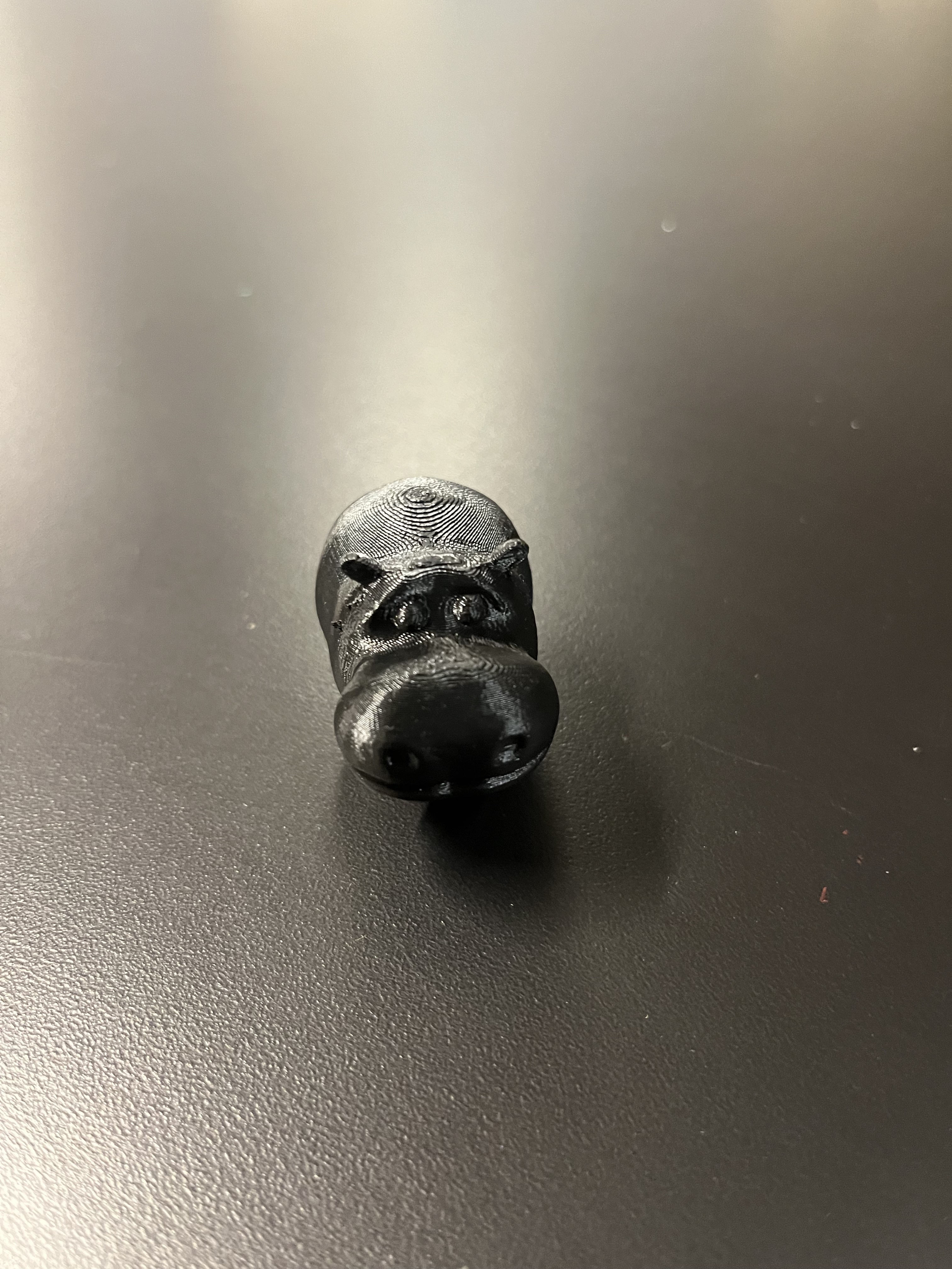 3D Hippo 1