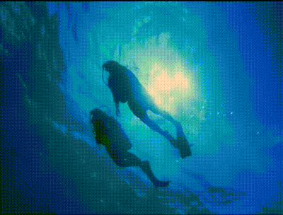 Apply Today video GIF