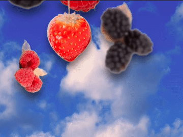 Stickerbush Symphony Gif