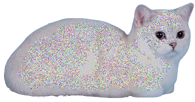 Kitty GIF