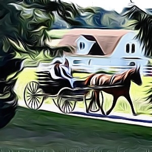 Thumbnail for Amish Namensgenerator