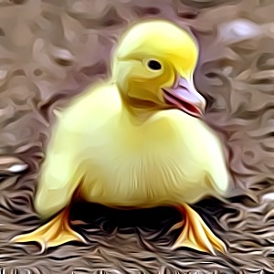 Thumbnail for Duck Name Generator