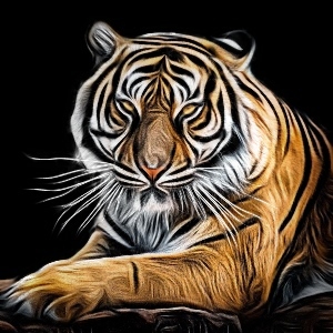 Thumbnail for Tiger Name Generator