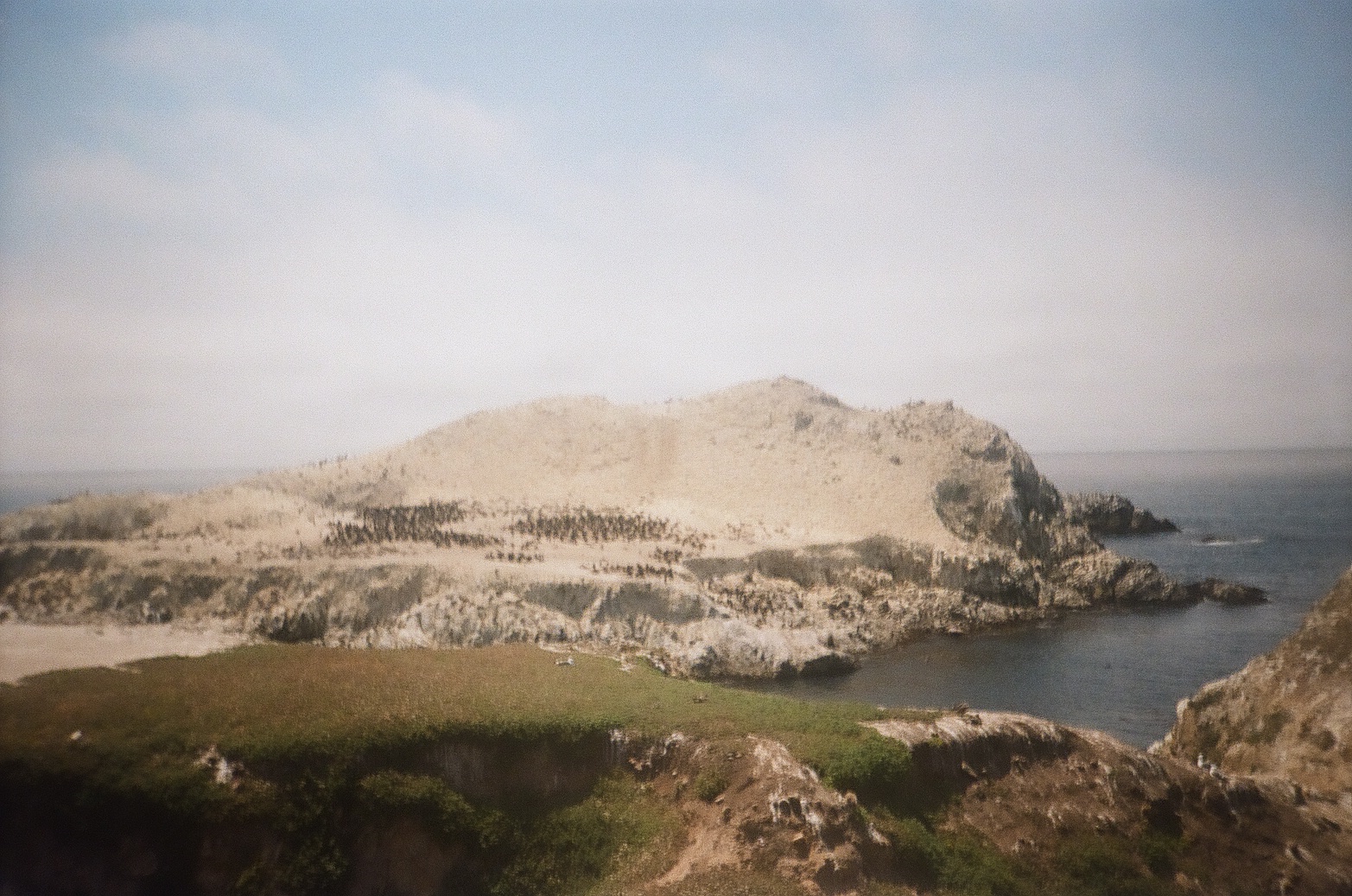 Design GIF
