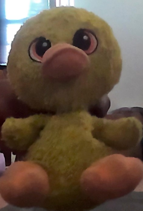 Ducky Momo