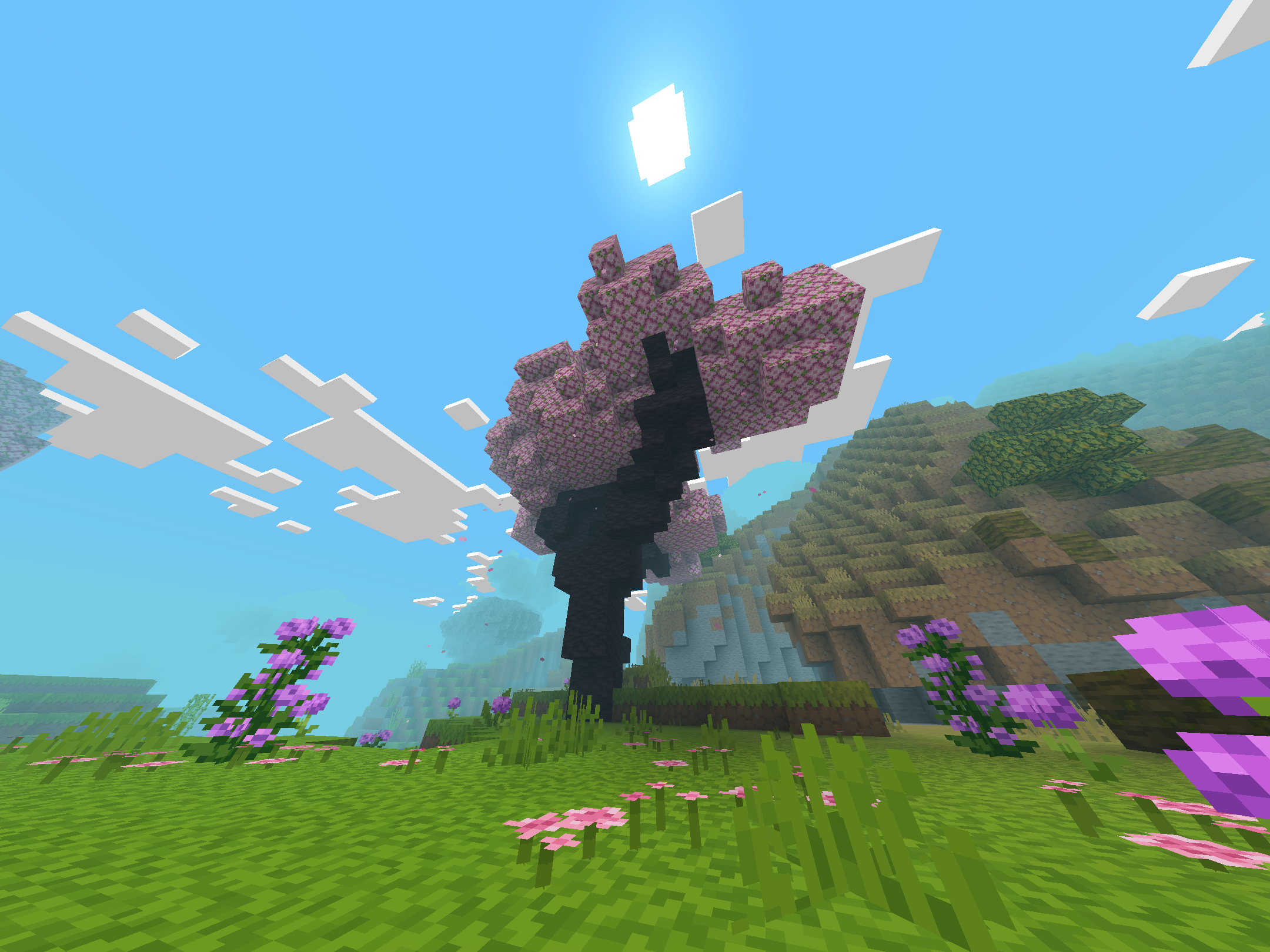 Imagen del servidor CrossCraft