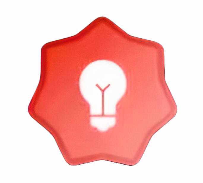 Developer Developer Badge