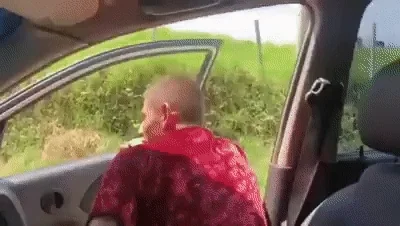 GIF 3
