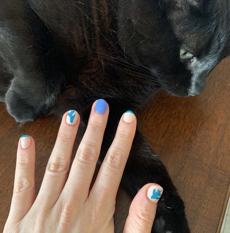 photo of my left hand in front of my black cat, all the nails have a neutral color with teal and red accent except the middle finger has a purplish neon solid color