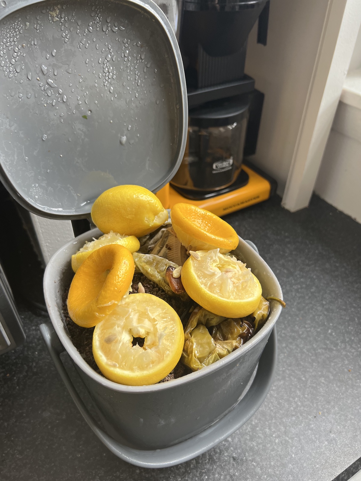 photo of a compost collection bin overflowing with squished lemon halves