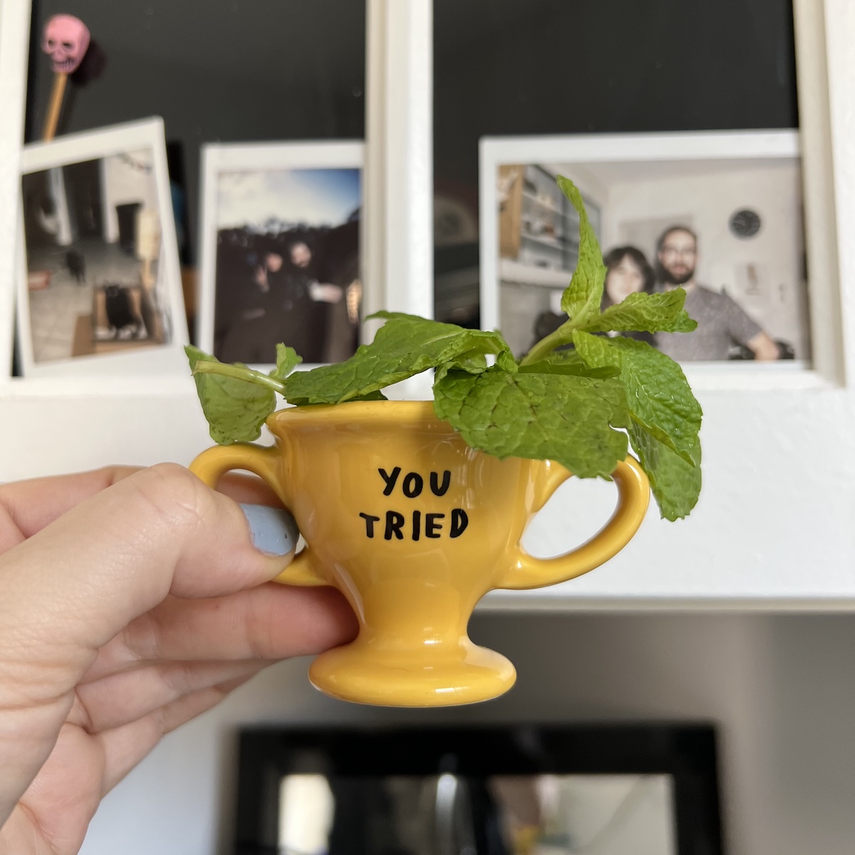 photo of a little yellow egg dish filled with fresh mint that says "you tried"