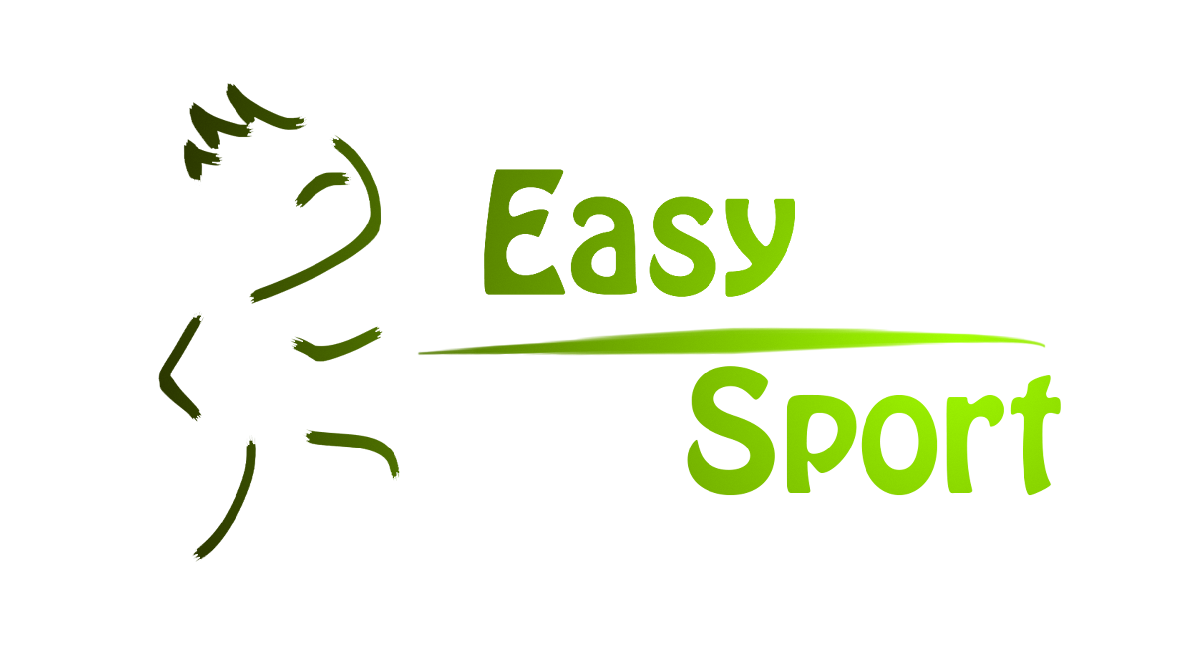 logo easysport