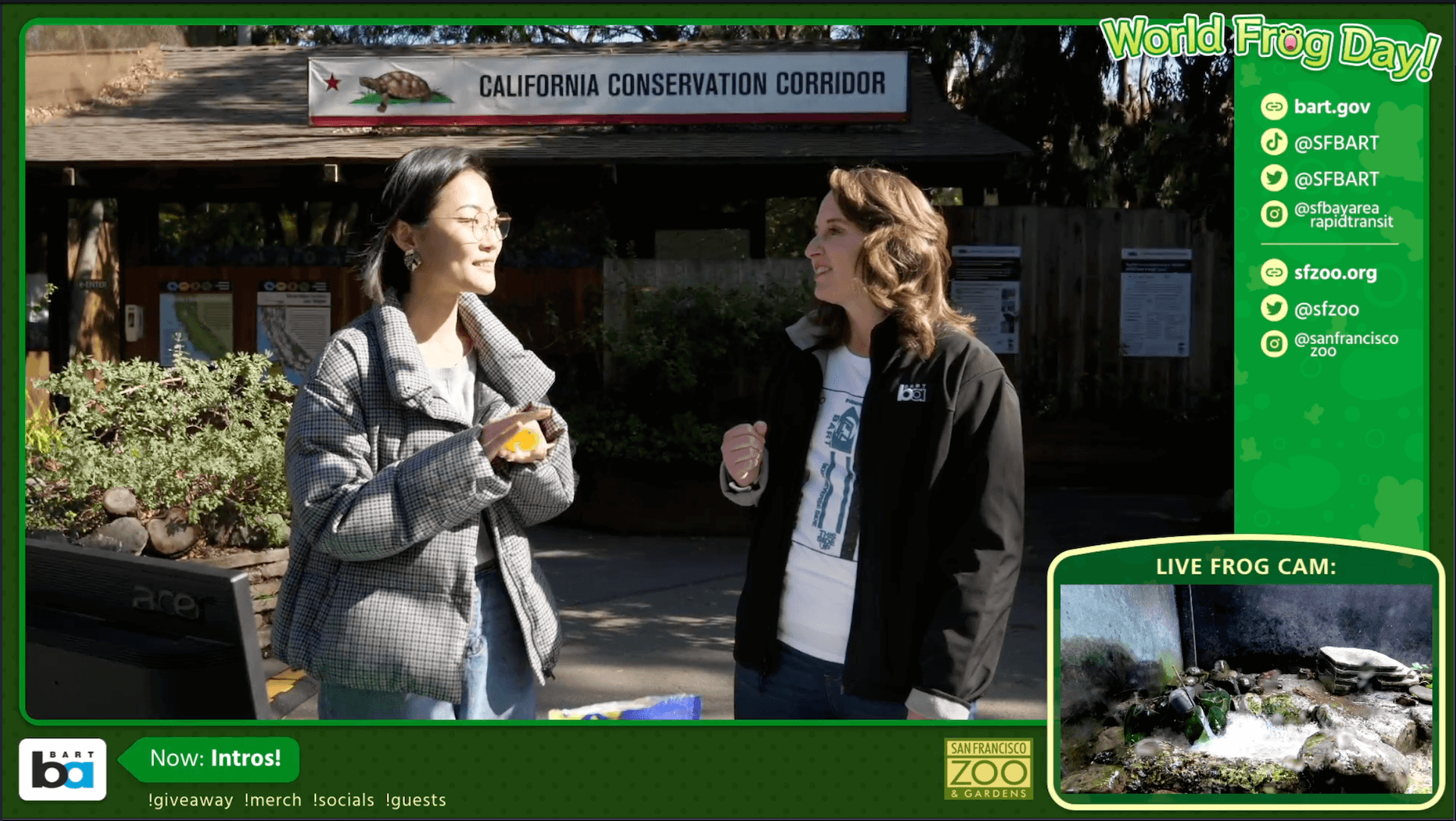 Screenshot of world frog day stream