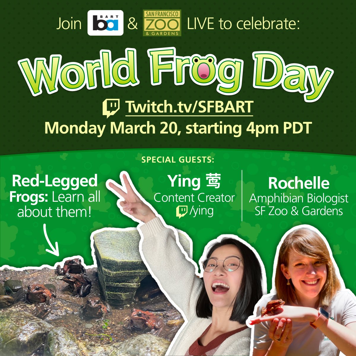 screenshot of world frog day promo image