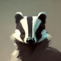 Image for Badger Name Generator