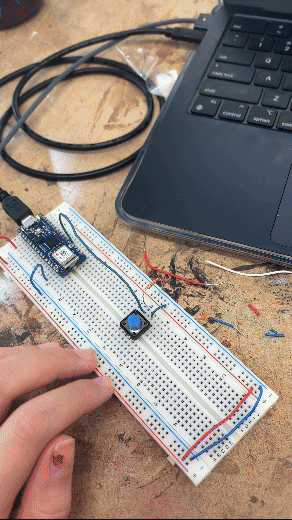 breadboard with button, and the code is counting the number of times pressed