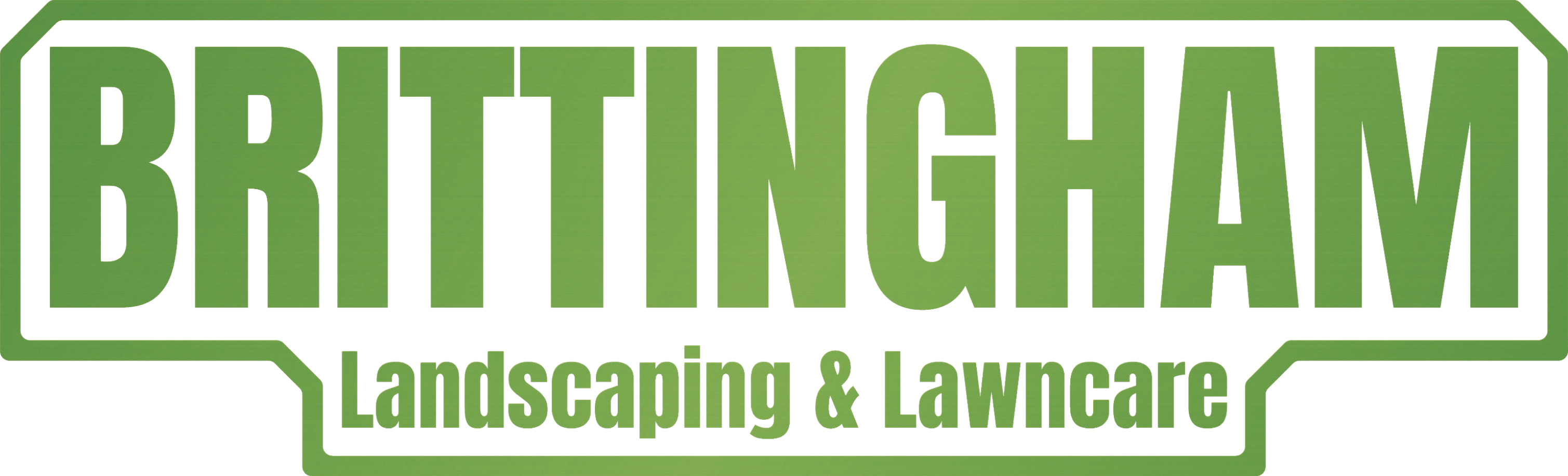website logo