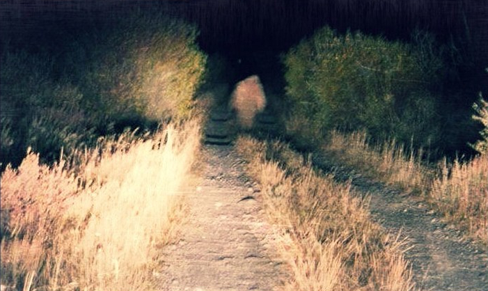 headlight illuminate a road at night with yucca man in the distance