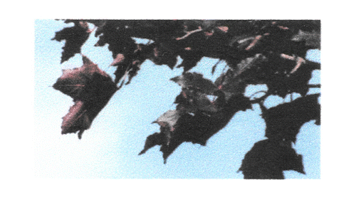 GIF01