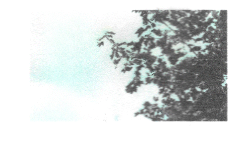 GIF04