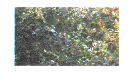GIF05