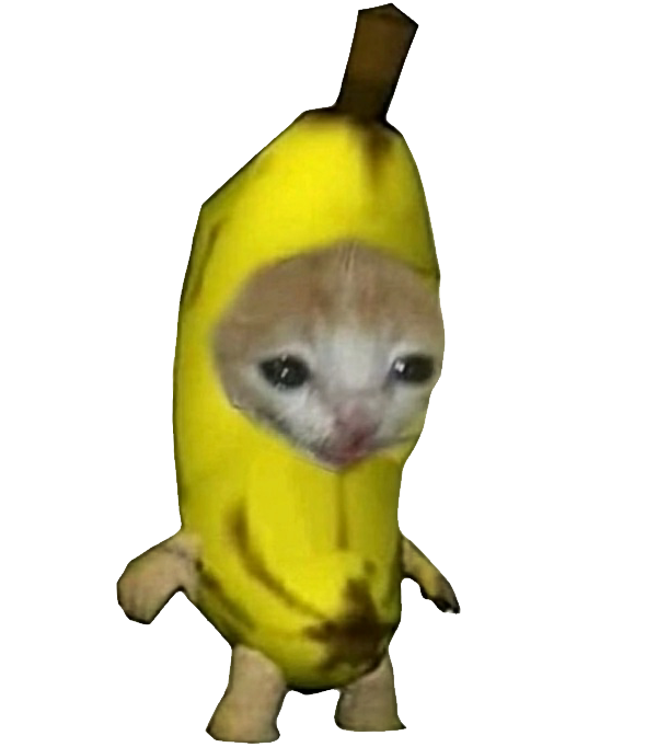 https://cdn.glitch.global/f887382e-ad0b-4171-9b36-b91f653bddbd/bananacatcry.png?v=1680111378326